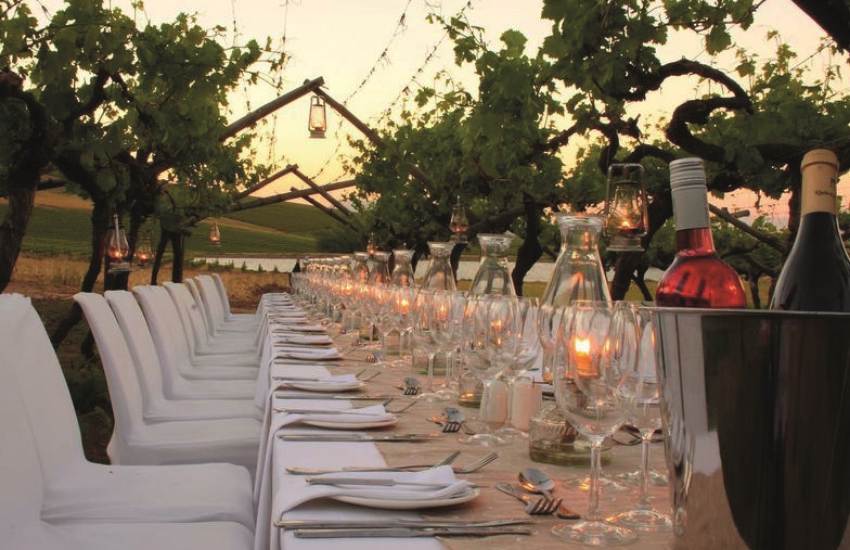 Cena en los viñedos del Chianti