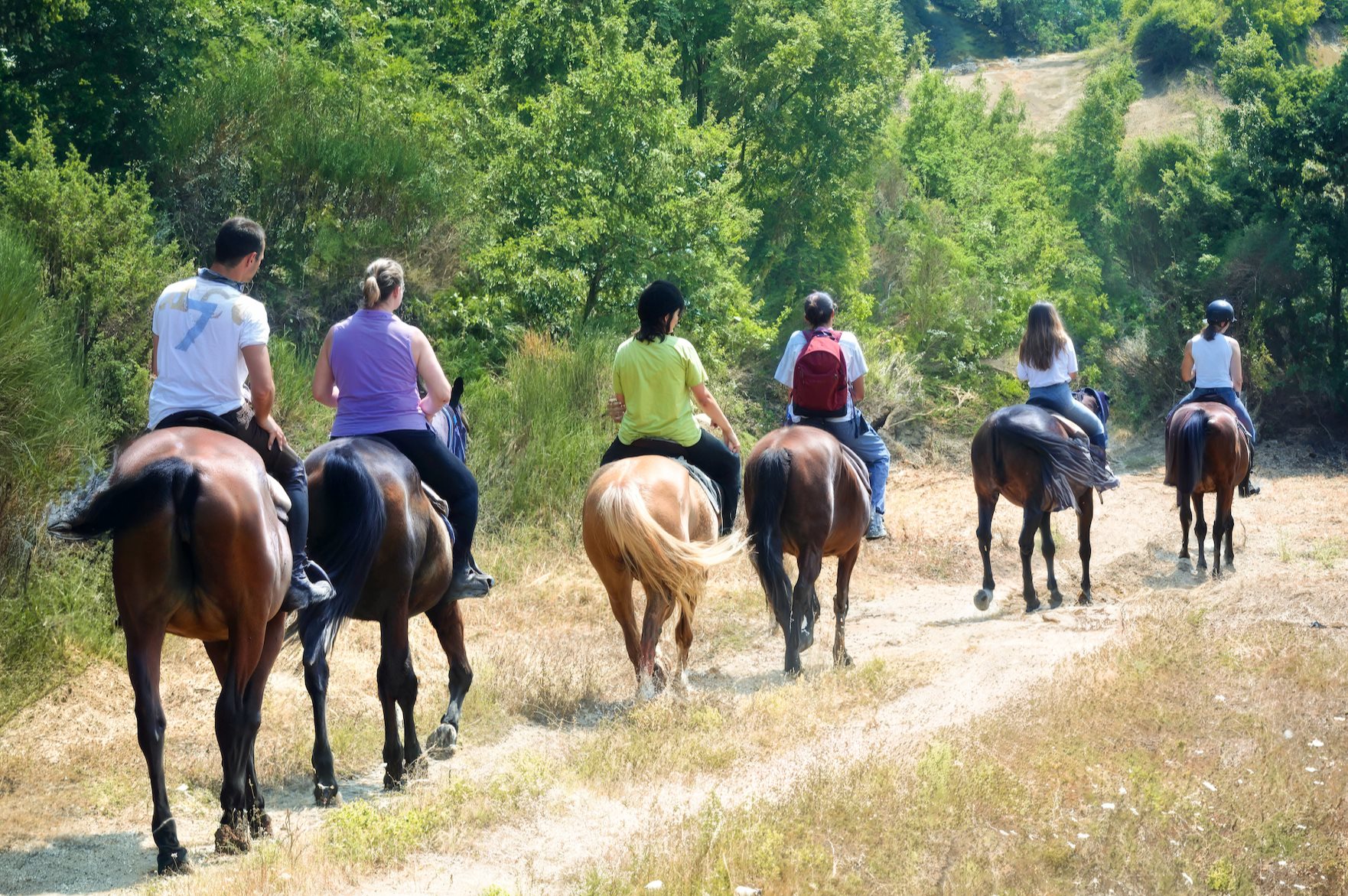 Paseos a caballo por el Chianti