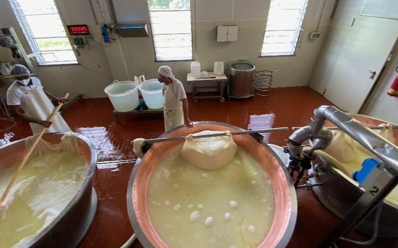 Parmigiano-Reggiano Tour 