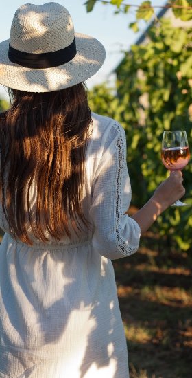 Chianti Wine Tour pela Manhã saindo de Florença