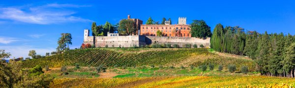 Castel of Chianti