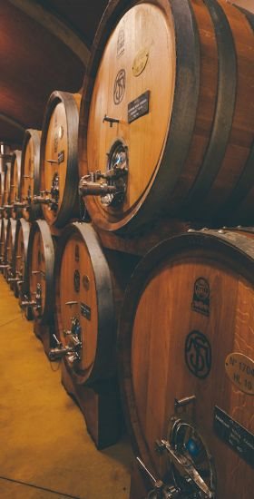 Degustazione e Tour del Vino Valpolicella e Amarone