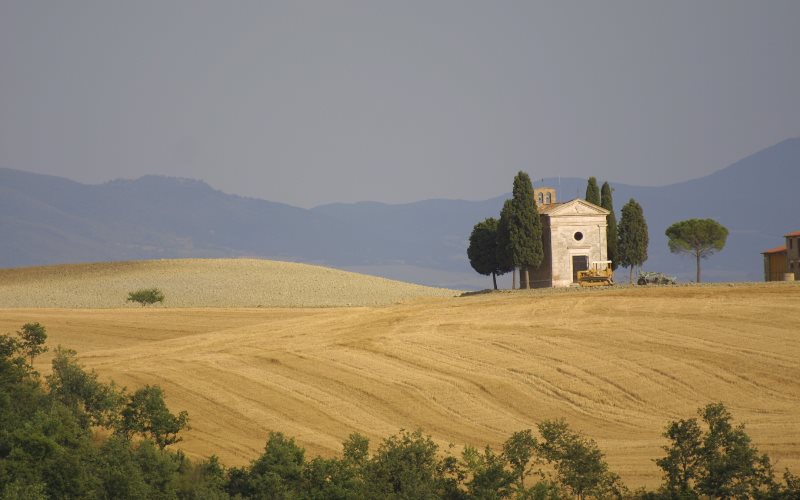 Vin & Collines de Toscane